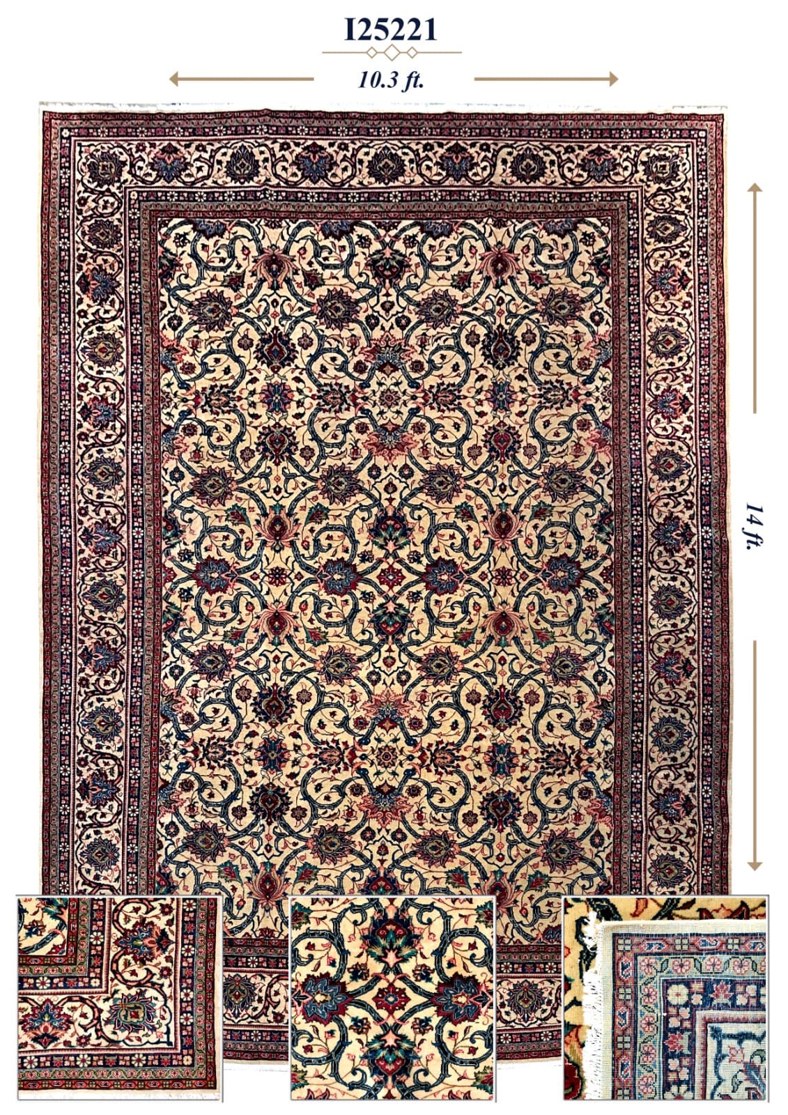 I25221 ivory vine rug with navy border